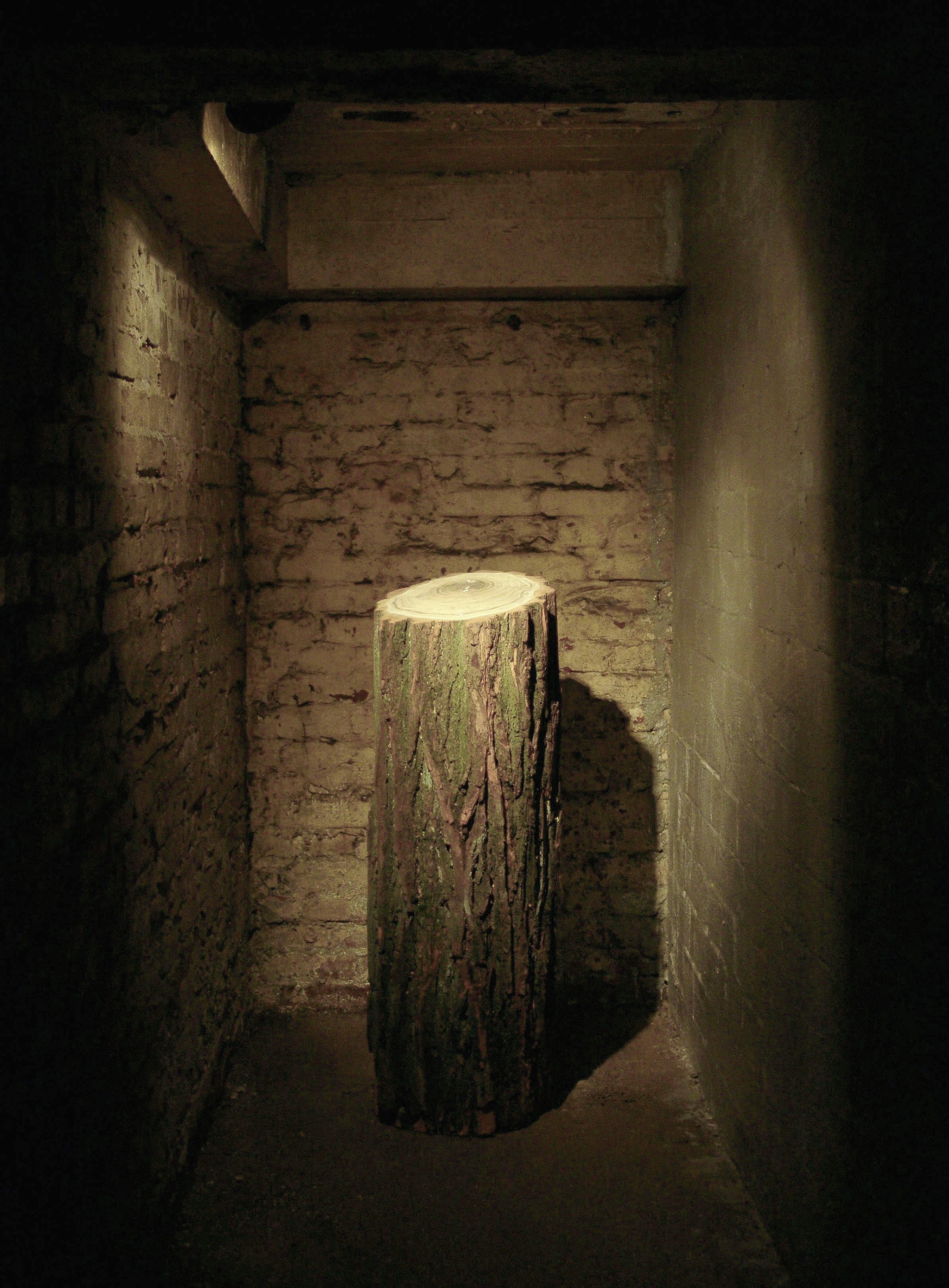 "Wünsch Dir was..." eine Installation für die Internationale Kunstausstellung "Der Frei Wille  20 Jahre Glasnost"